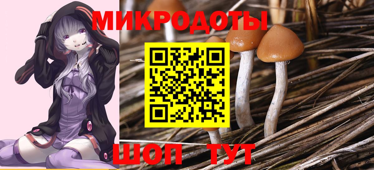 Галлюциногенные грибы мухоморы  Вход с VPN  Лесосибирск 